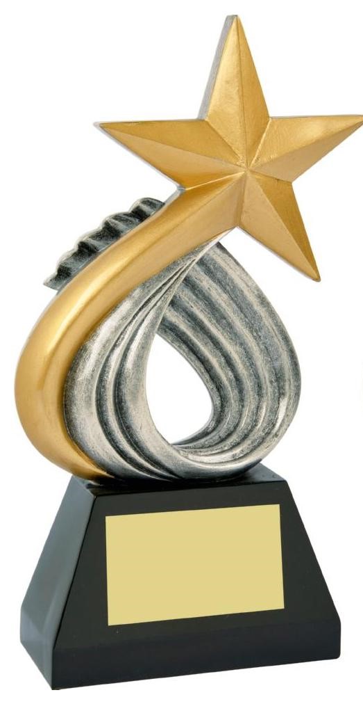 Gold Resin Star Award