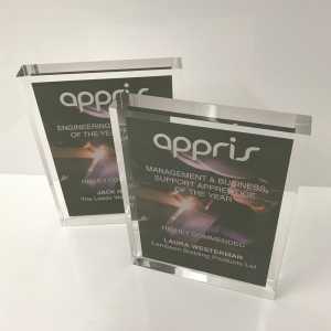 Appris Acrylic Oval Tombstone with Card Encapsulated Inside