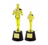 Trophy Cups & Corporate Trophies