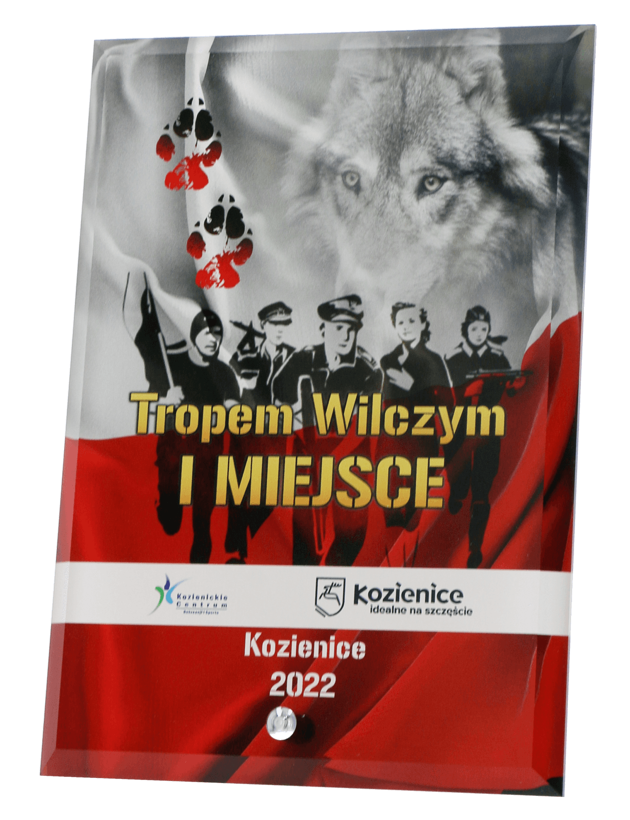 Colour Printed Glass Rectangle Award